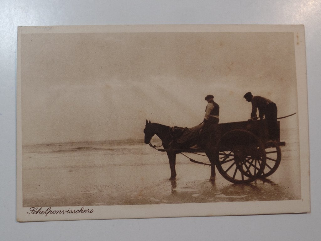 Schelpenvisschers Noordzee, Verzenden, 1940 tot 1960, Gelopen, Zuid-Holland