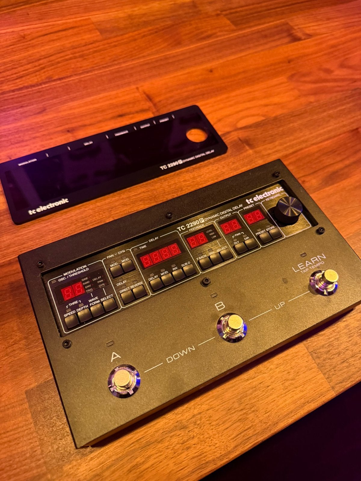 TC Electronic 2290 P Dynamic Digital Delay, Ophalen of Verzenden, Zo goed als nieuw, Overige typen