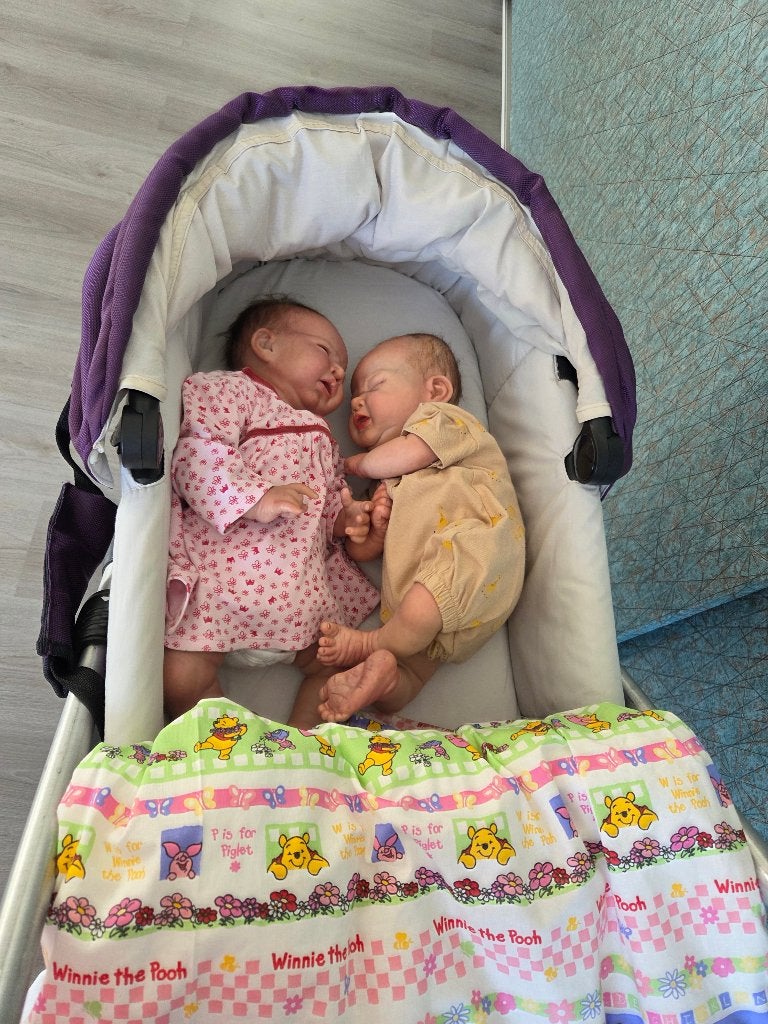 Twee prachtige reborns met kinderwagen, Ophalen, Nieuw, Pop, Levensecht of Reborn