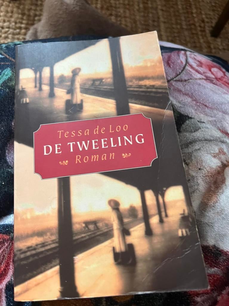 De Tweeling, Boeken, Overige Boeken, Ophalen of Verzenden, Gelezen
