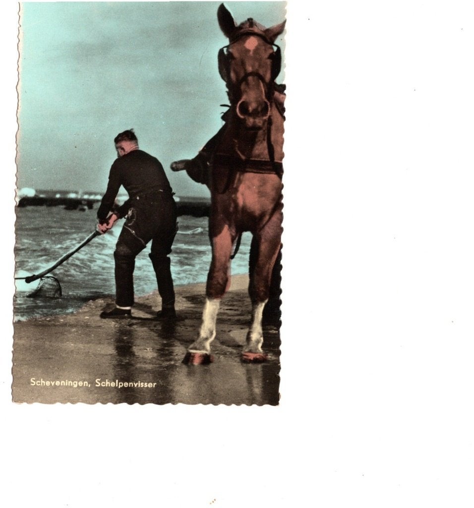 Oude Ansichtkaart Scheveningen Schelpenvisser te Paard, Ophalen of Verzenden, 1920 tot 1940, Ongelopen