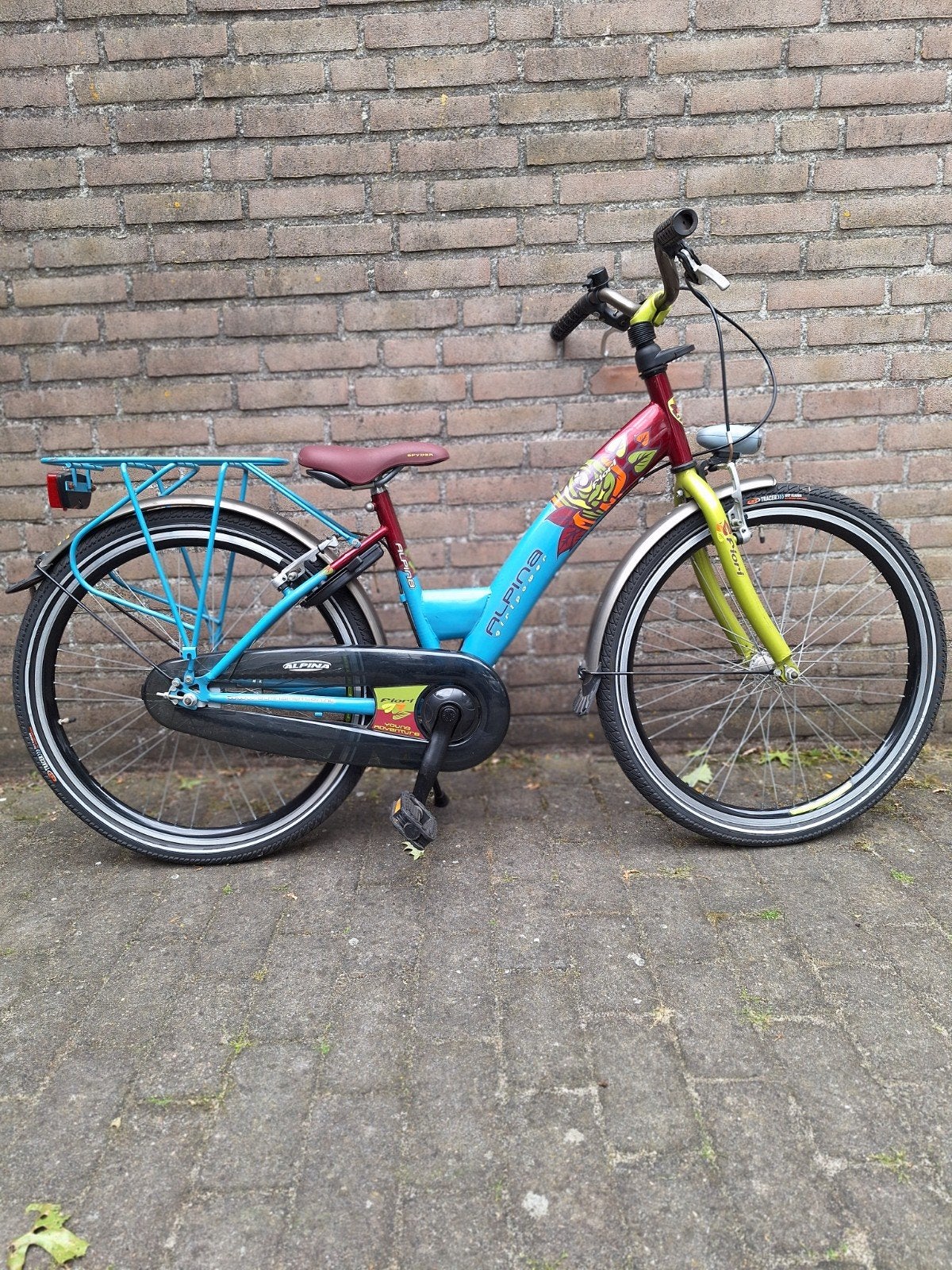 ALPINA GIRLPOWER FIORI 24 INCH HEEL MOOI, Fietsen en Brommers, Fietsen | Meisjes, Ophalen of Verzenden, Zo goed als nieuw, 24 inch