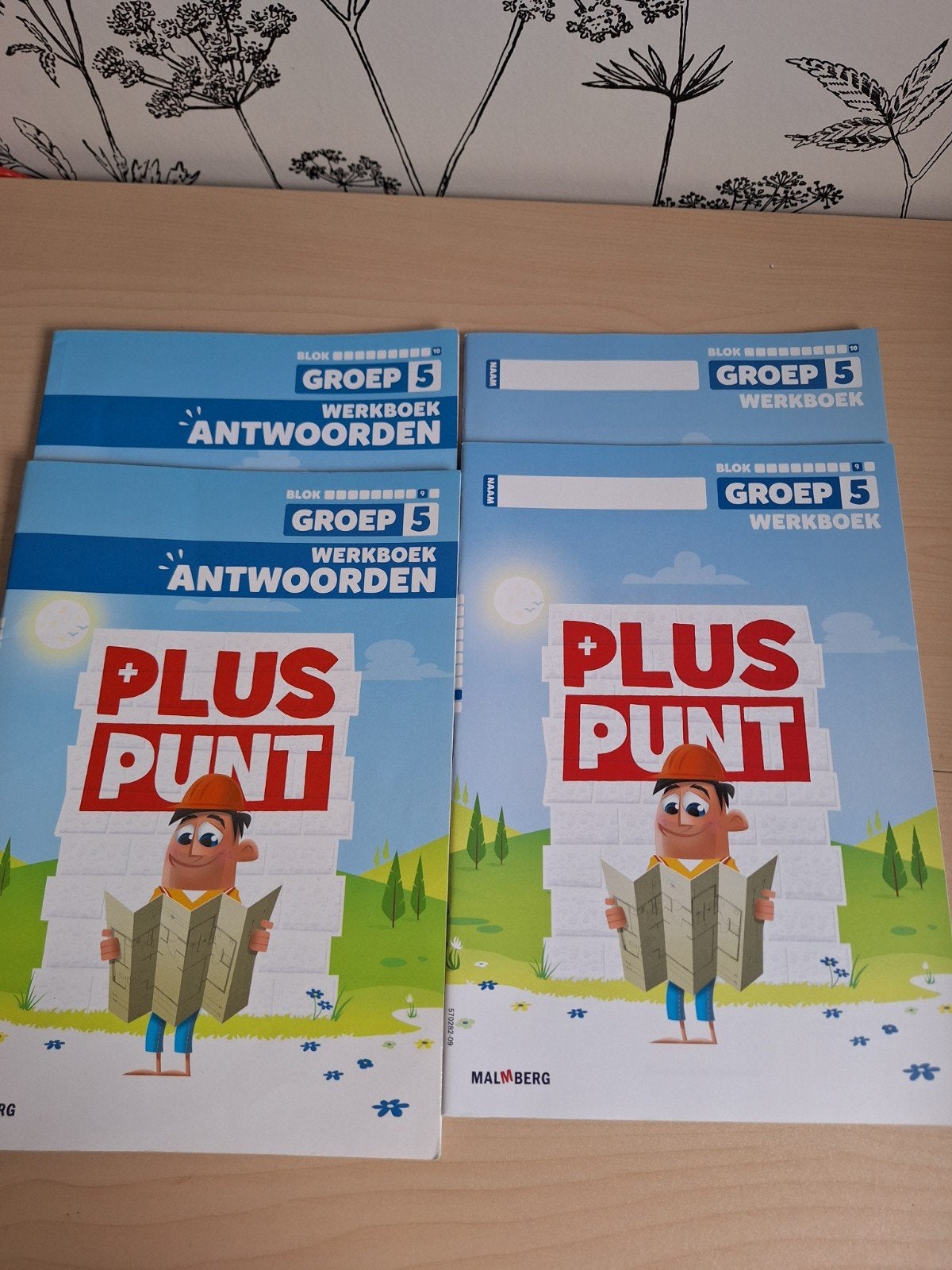 pluspunt rekenen groep 5, blok 9 en 10, Ophalen of Verzenden, Nieuw, Overige niveaus, Nederlands