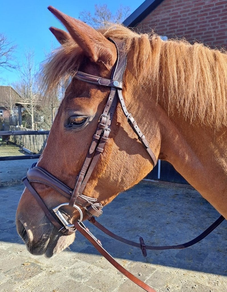 Mooi zgan. soepel bruin hoofdstel met teugels, Dieren en Toebehoren, Hoofdstel, Bruin, Zo goed als nieuw, Inclusief teugels