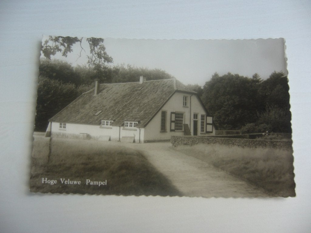 VELUWE  =  HOGE VELUWE PAMPEL, Ophalen of Verzenden, 1940 tot 1960, Ongelopen, Gelderland