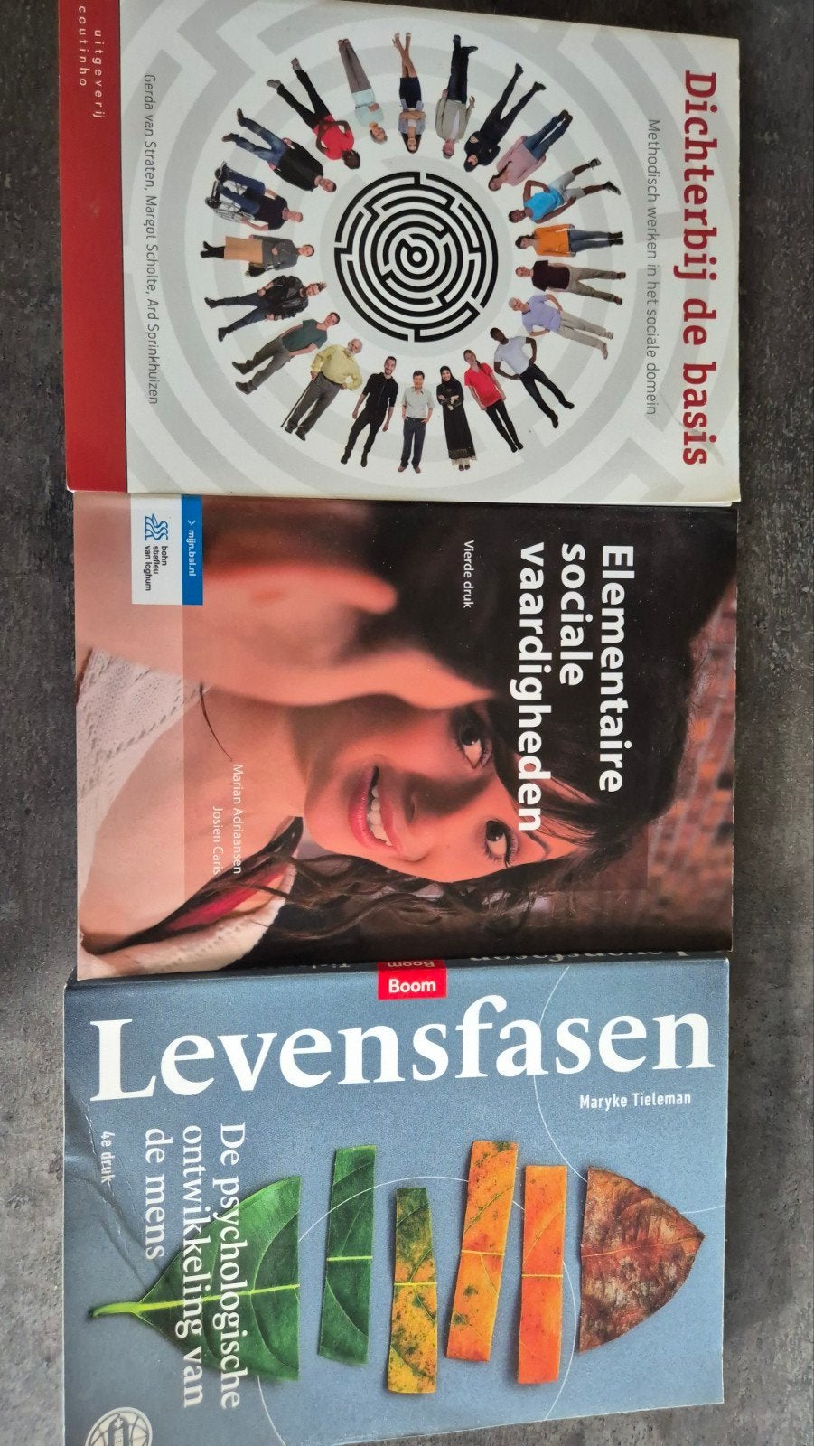 Set van 3 Studieboeken Social Work HBO, Boeken, Verzenden