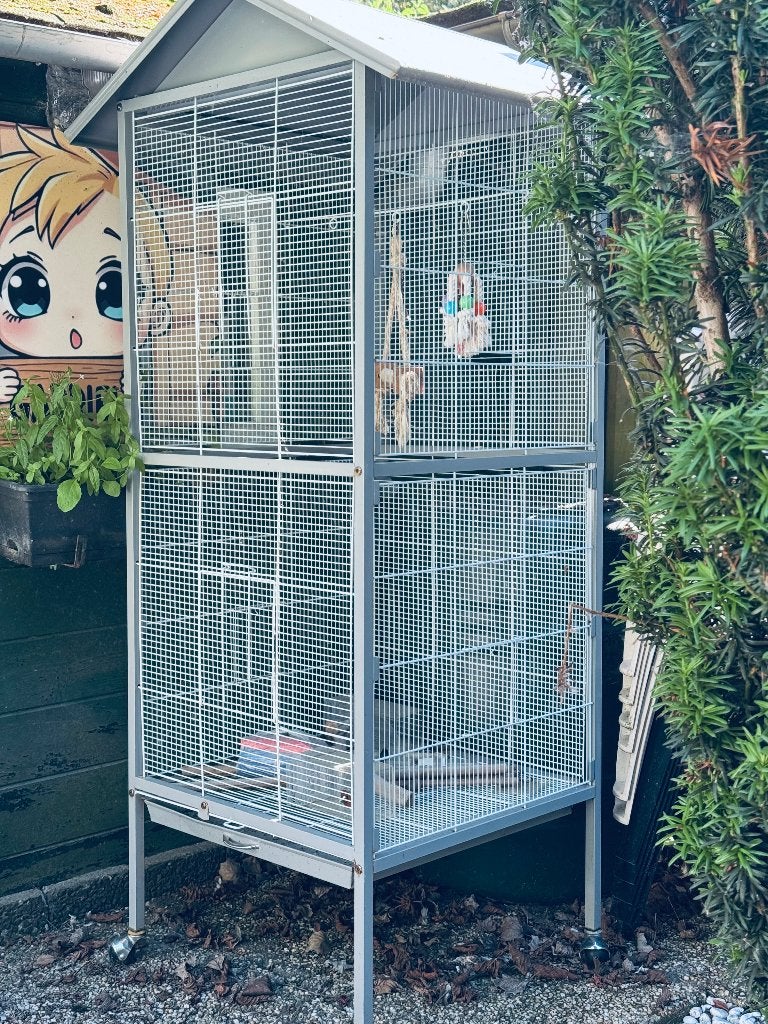 Bird cage, Dieren en Toebehoren, Ophalen, Gebruikt, Metaal, Vogelkooi