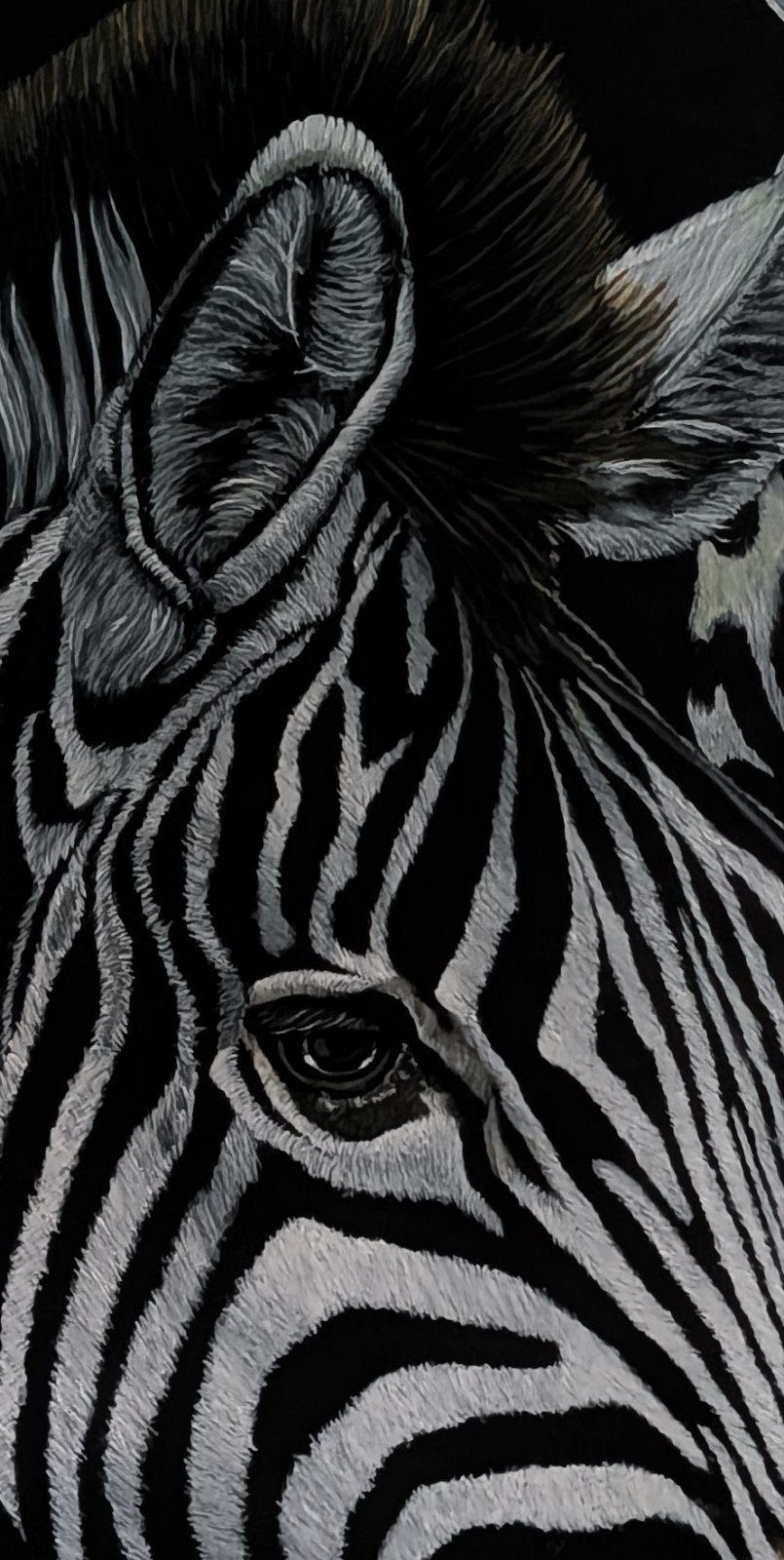 prachtig schilderij (canvas) Zebra's, Ophalen, 125 cm of meer, Schilderij