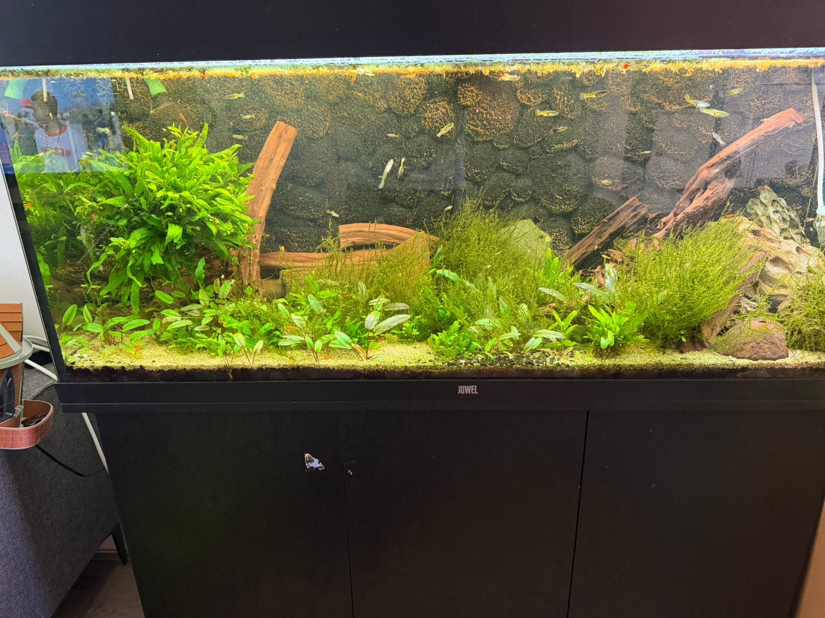 Compleet 120cm aquarium + sera co2 seramic, Ophalen, Zo goed als nieuw, Gevuld zoetwateraquarium