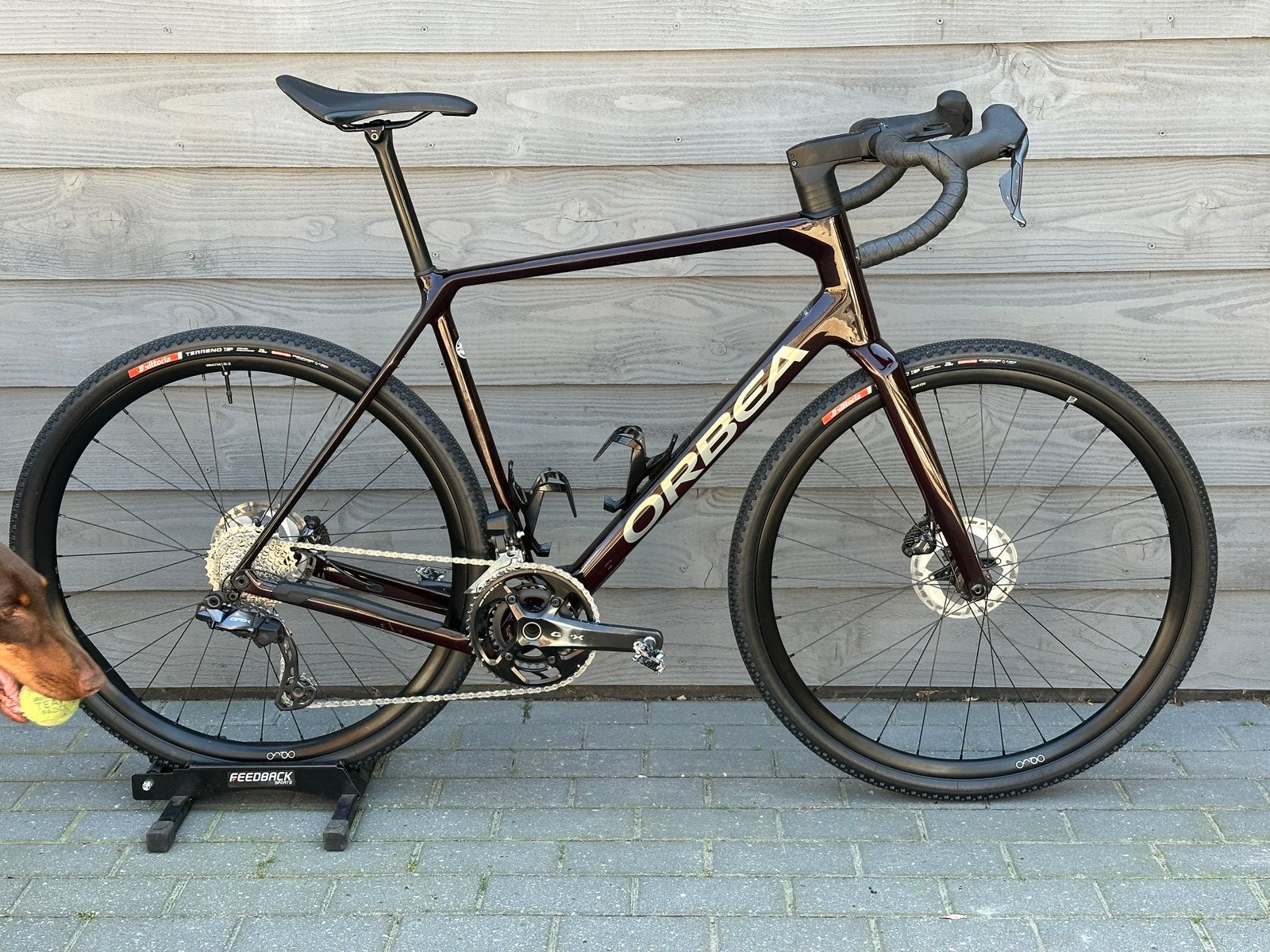 Orbea Terra M20i Team , XL , 2025 GRX 825 di2 12spd,, Fietsen en Brommers, 28 inch, Carbon, Zo goed als nieuw, 57 tot 61 cm