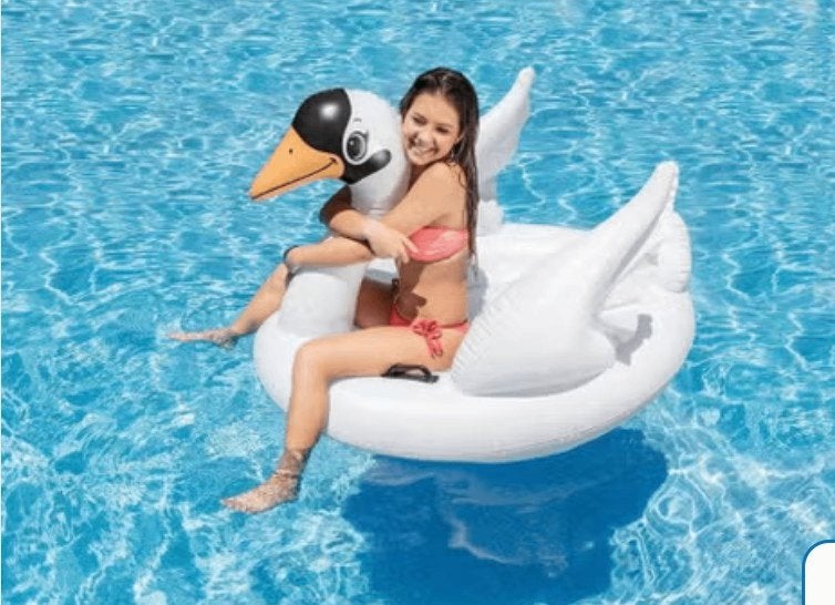 Intex opblaasbare zwaan XL, Ophalen, Gebruikt