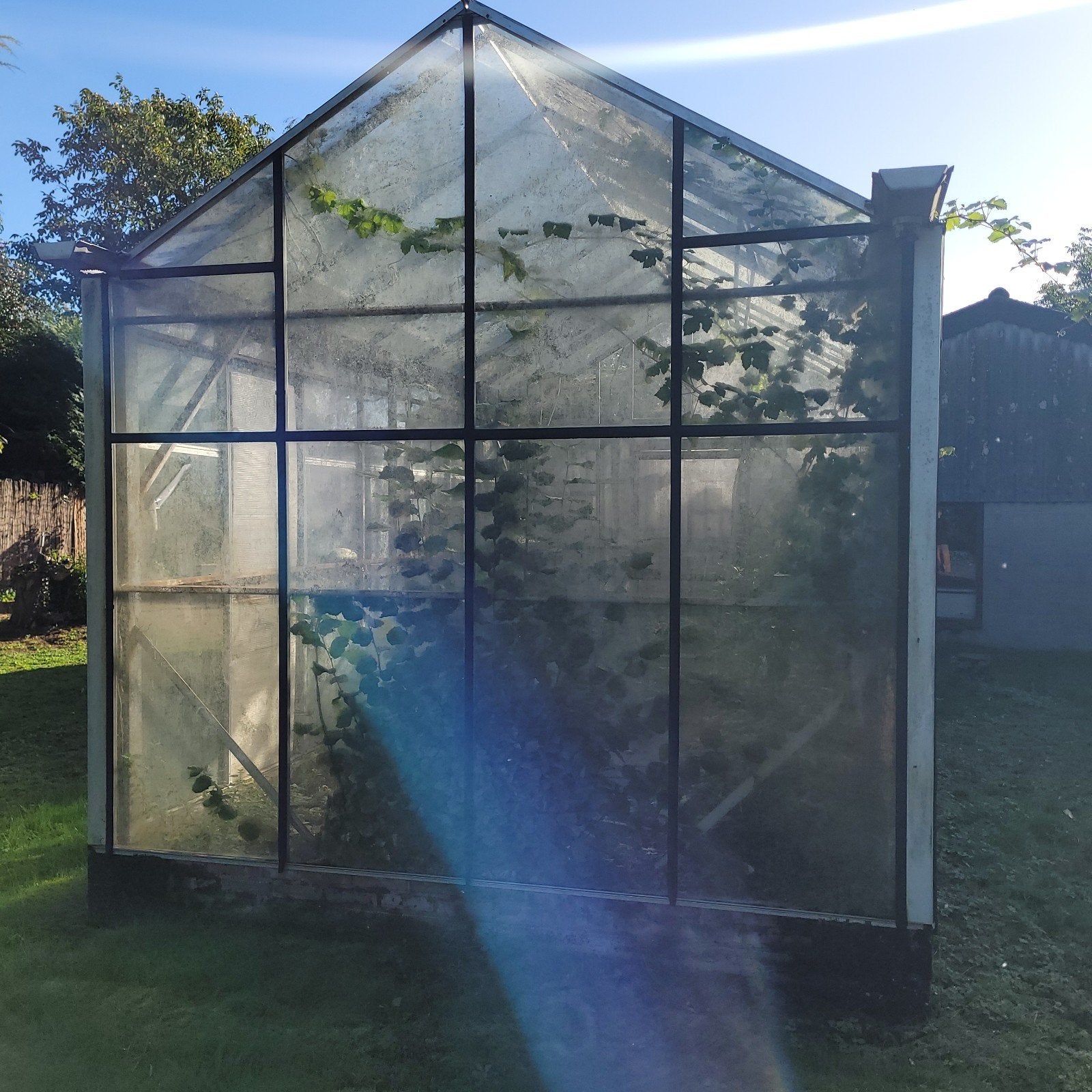 glazen tuinkast, Tuin en Terras, Ophalen, Glas, Gebruikt, Aluminium
