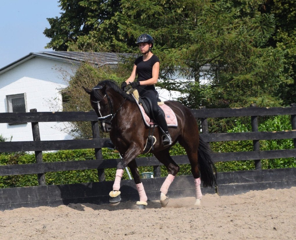 Lieve en mooie 8 jarige dressuur merrie, Dieren en Toebehoren, Merrie, Met stamboom, Dressuurpaard, L