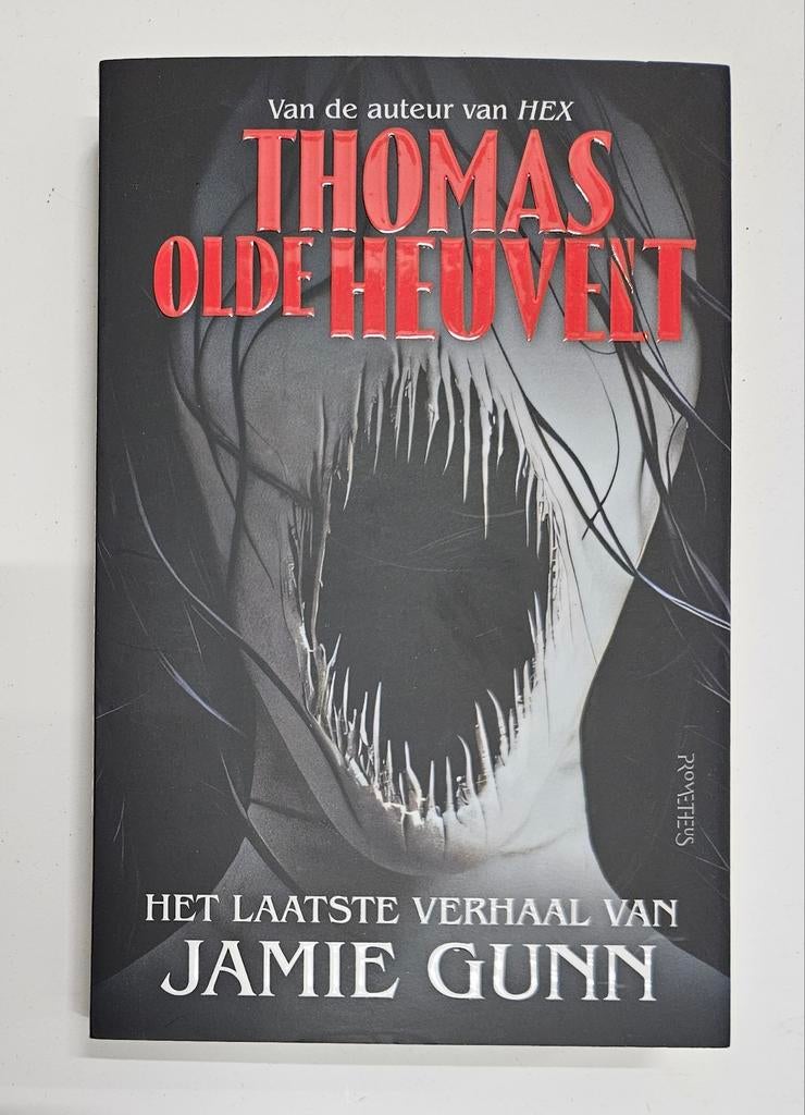 Het laatste verhaal van jamie gunn, Ophalen of Verzenden