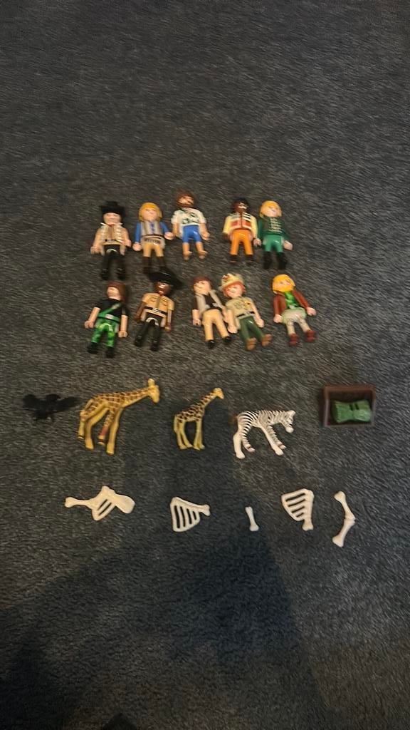 Playmobil, Ophalen of Verzenden, Zo goed als nieuw