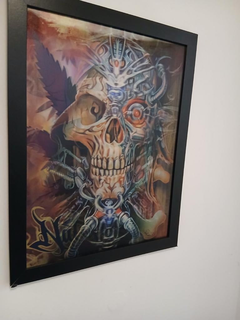 3d schilderij skull, Ophalen of Verzenden
