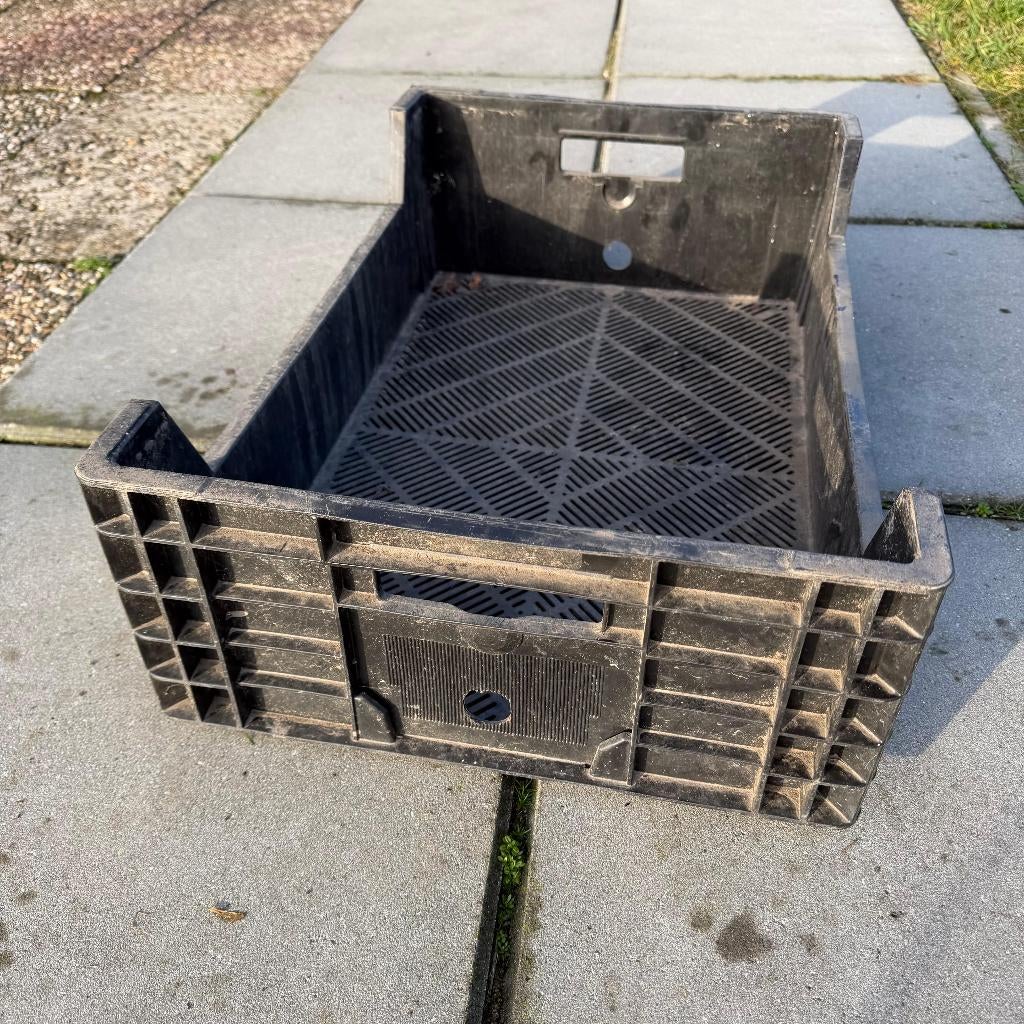 15x Bulbfust Stapelkratten Kratten Bakken Krat 60x40x18cm, Doe-het-zelf en Verbouw, Kratten en Dozen, Ophalen, Gebruikt, 40 tot 60 cm