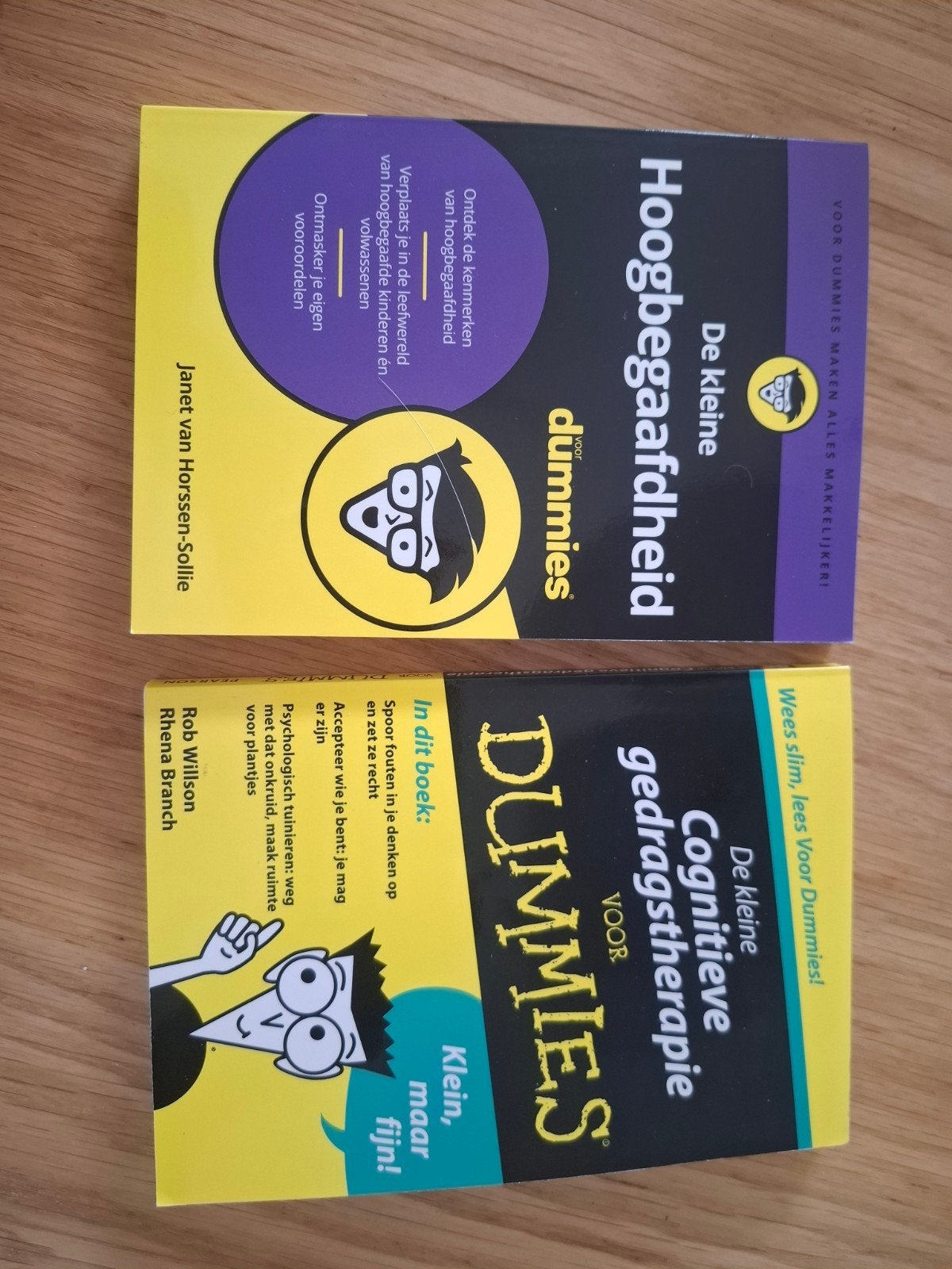 De kleine Dummies, Ophalen of Verzenden, Zo goed als nieuw, Overige onderwerpen