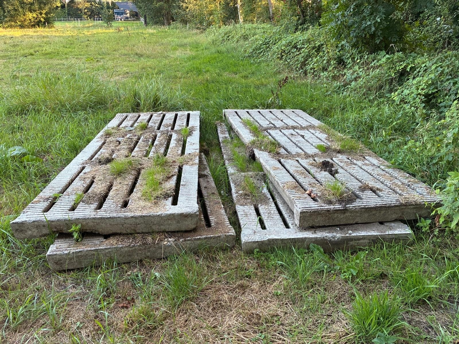 Betonnen (vee) roosters voor erf of oprit, Ophalen, Gebruikt, Overige materialen, 50 tot 100 mm