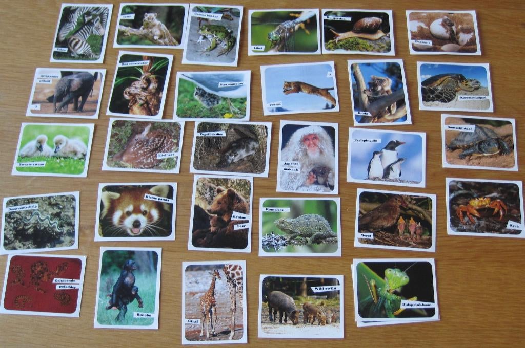 30 dieren plaatjes van supermarkt Deen - 2008, Albert Heijn, Ophalen of Verzenden
