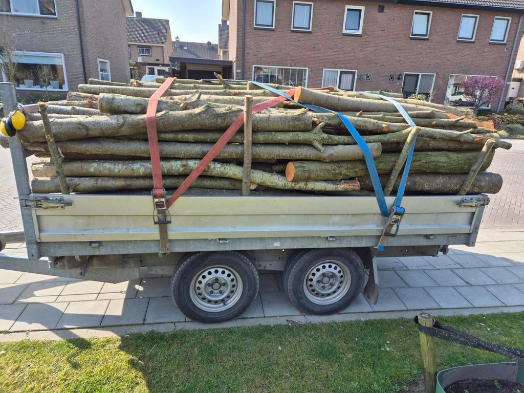 Elzen Haardhout, 3 tot 6 m³, Ophalen of Verzenden, Overige houtsoorten, Stammen