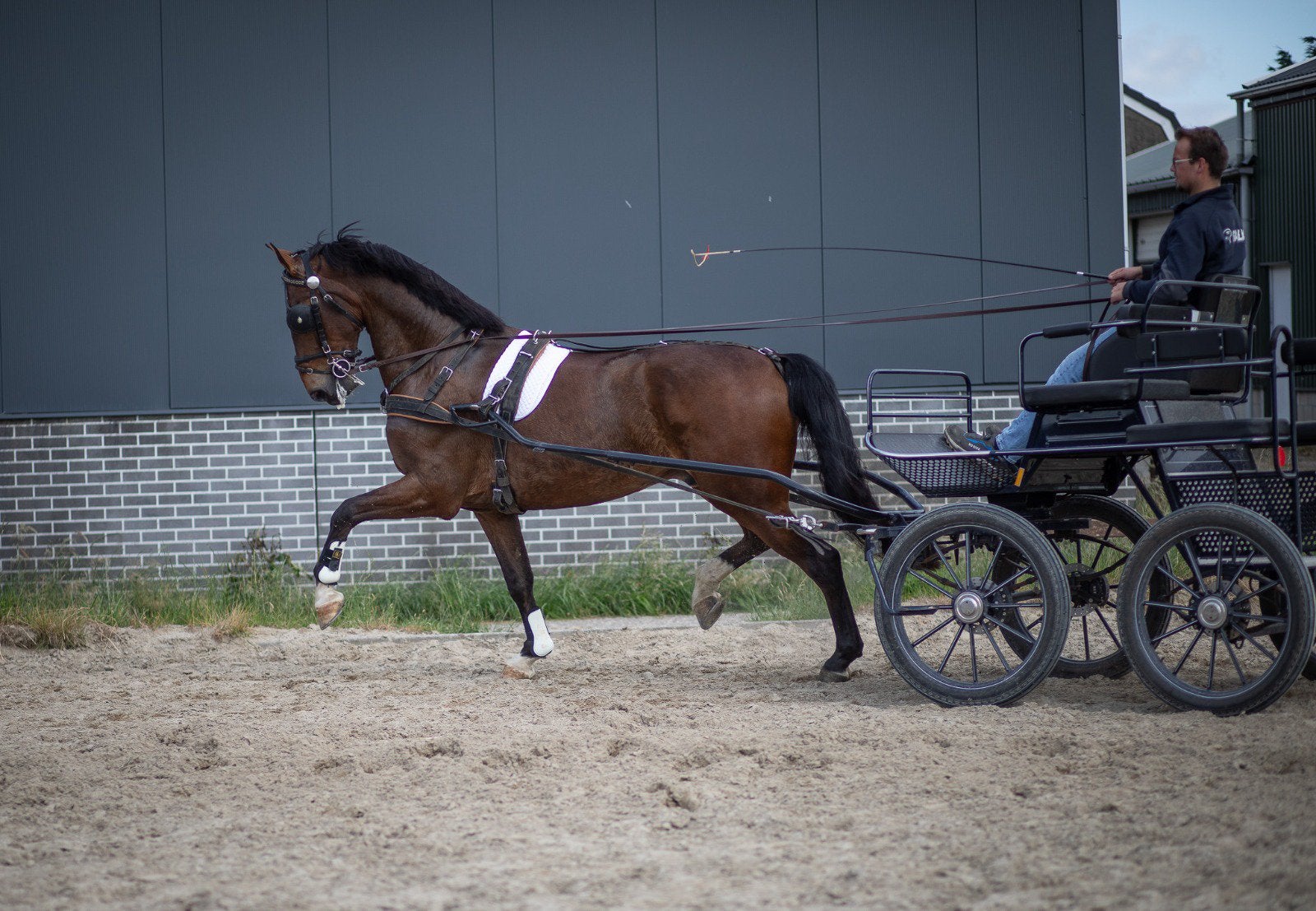 Super men en tuigpaard!, Ruin, Ontwormd