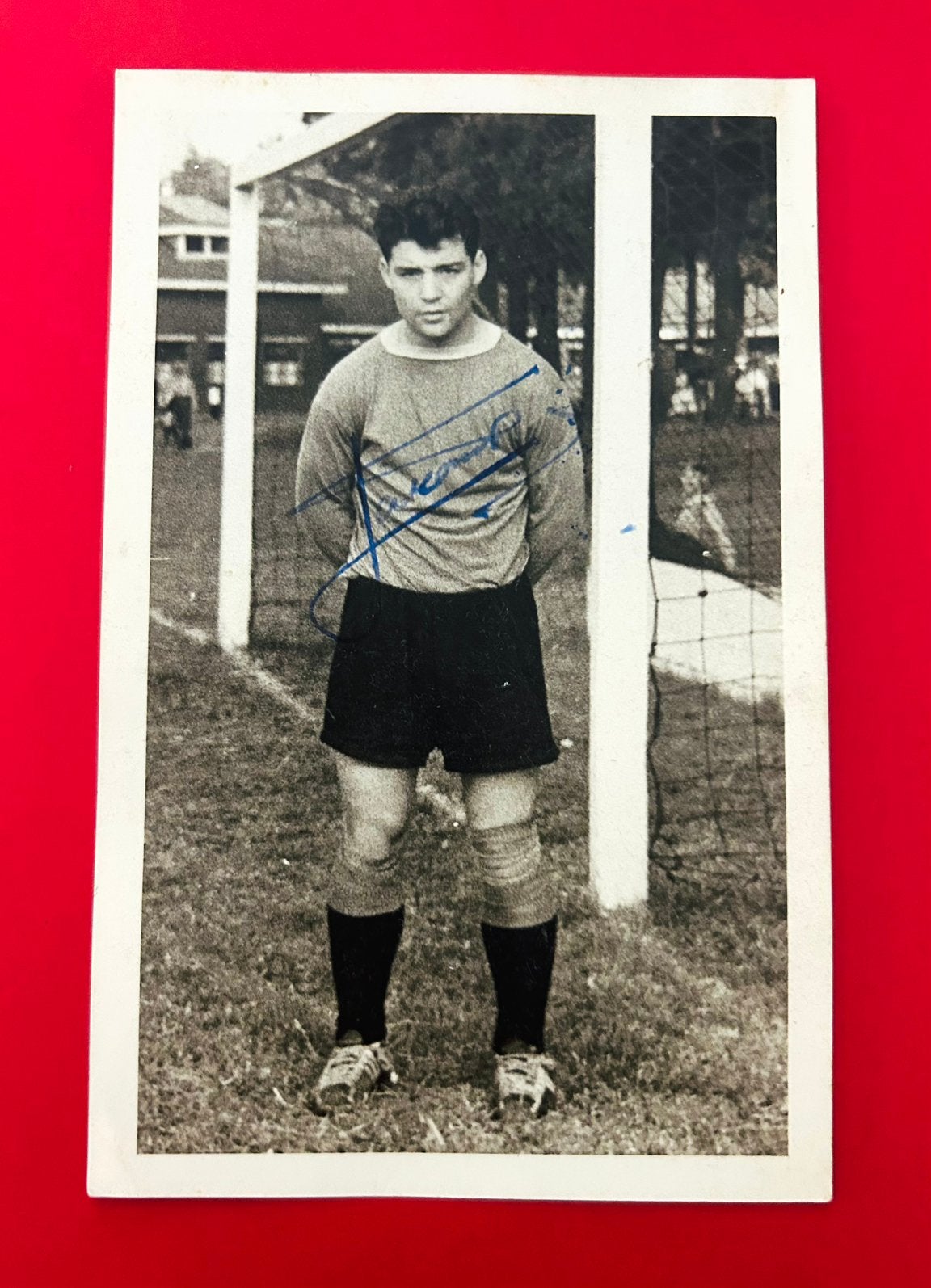 Theo Laseroms - Feyenoord - NAC - spelerskaart - gesigneerd, Verzamelen, Ophalen of Verzenden, Zo goed als nieuw, Feyenoord, Spelerskaart