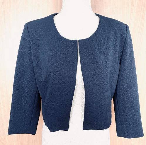 Smashed Lemon jasje maat 42, Blauw, Maat 42/44 (L), Ophalen of Verzenden, Zo goed als nieuw