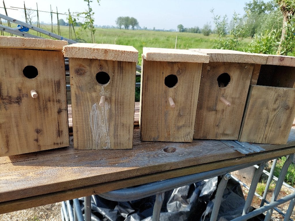 huisjes voor 5 versch vogels, Meerdere dieren, Parkiet