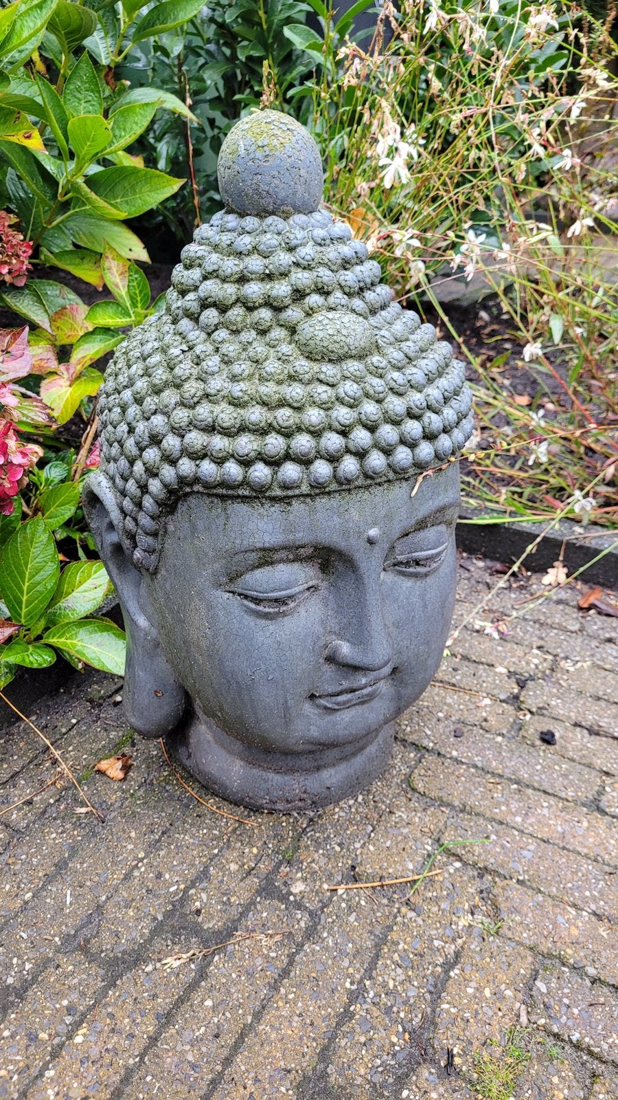 Budha hoofd, Ophalen, Zo goed als nieuw, Boeddhabeeld