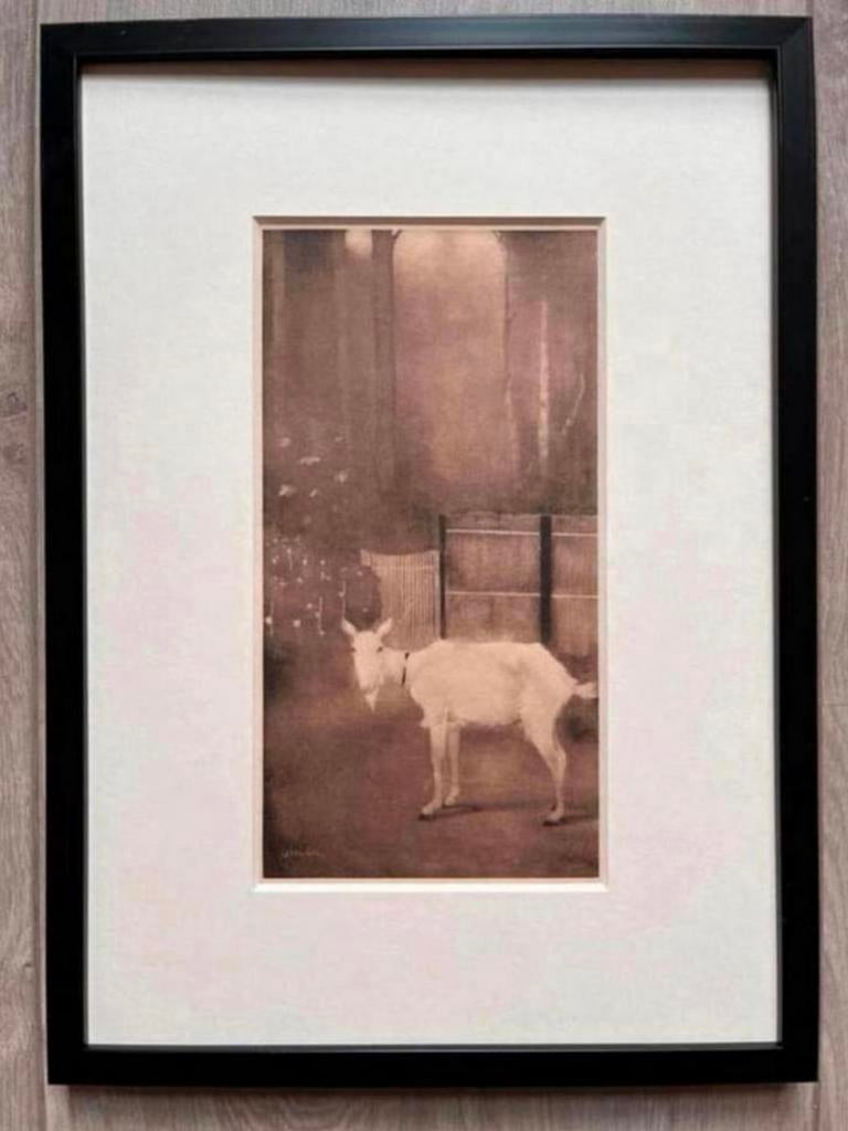 Jan Mankes 1889-1920 / Heliogravure Oude Geit 1923, Antiek en Kunst, Ophalen