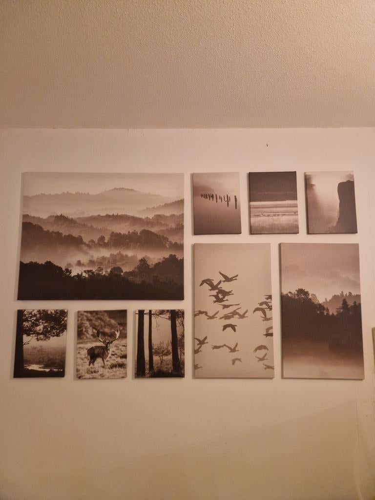 Mooi schilderij van IKEA, zo goed als nieuw, Ophalen of Verzenden, Zo goed als nieuw, Schilderij, 100 tot 125 cm