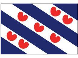 Friese vlag Fryske flagge 100 x 150, Diversen, Vlaggen en Wimpels, Nieuw, Verzenden