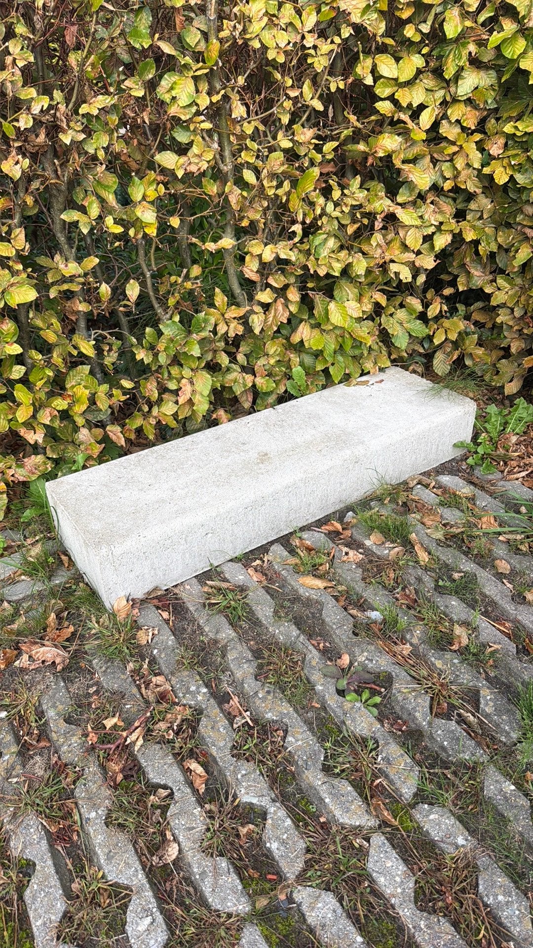 Traptrede beton, 25 tot 50 cm, Blok, Ophalen of Verzenden, Zo goed als nieuw