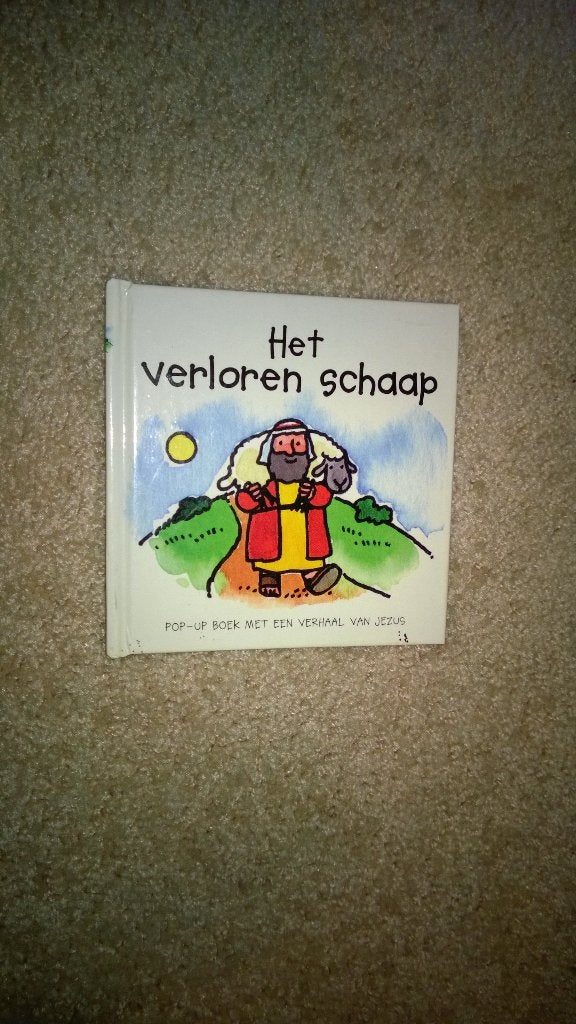 Boek - 522 - Het verloren schaap, Ophalen of Verzenden, Zo goed als nieuw