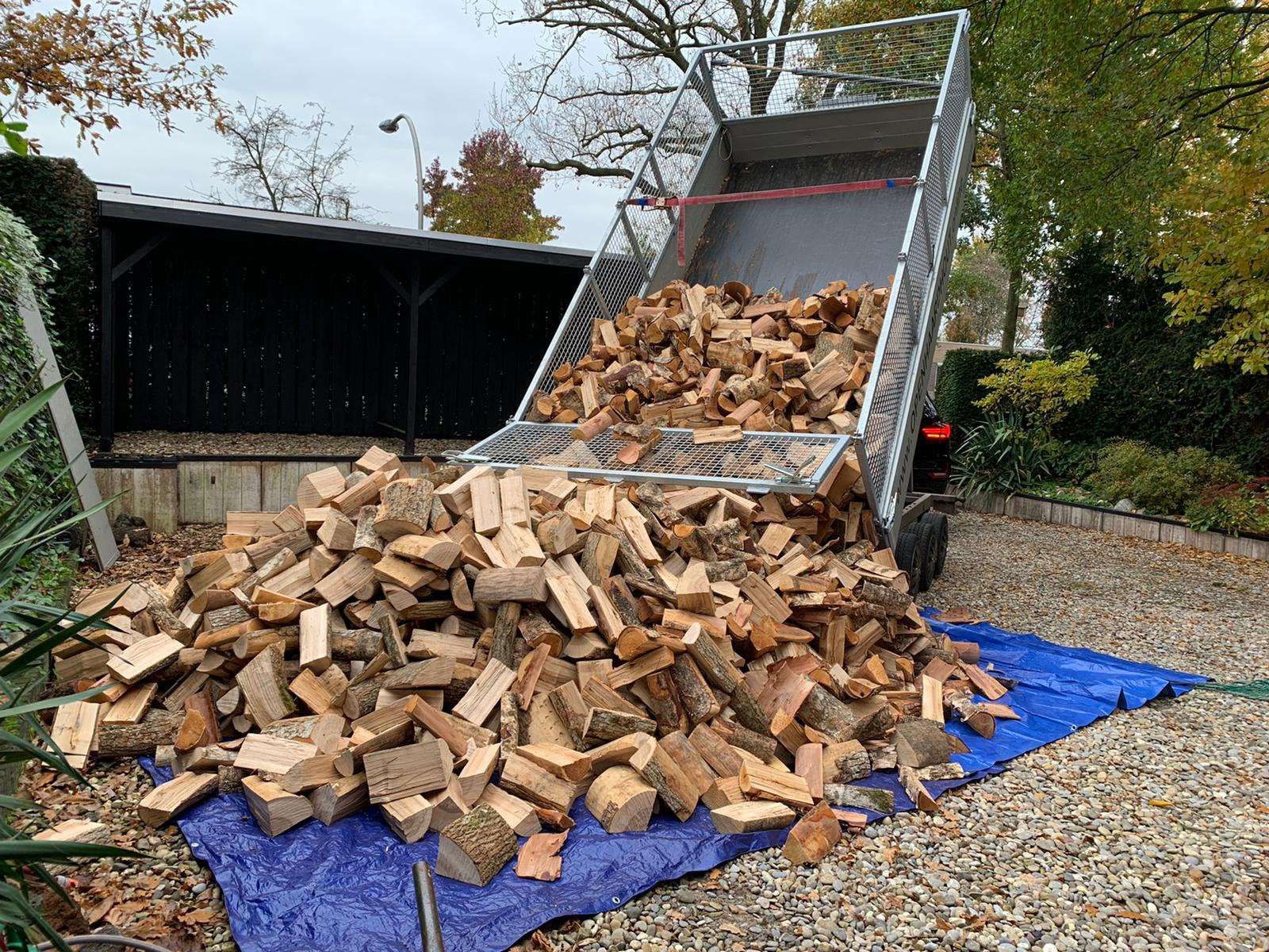 Openhaardhout gedroogd ESSEN 35cm, 6 m³ of meer, Ophalen, Essenhout, Blokken