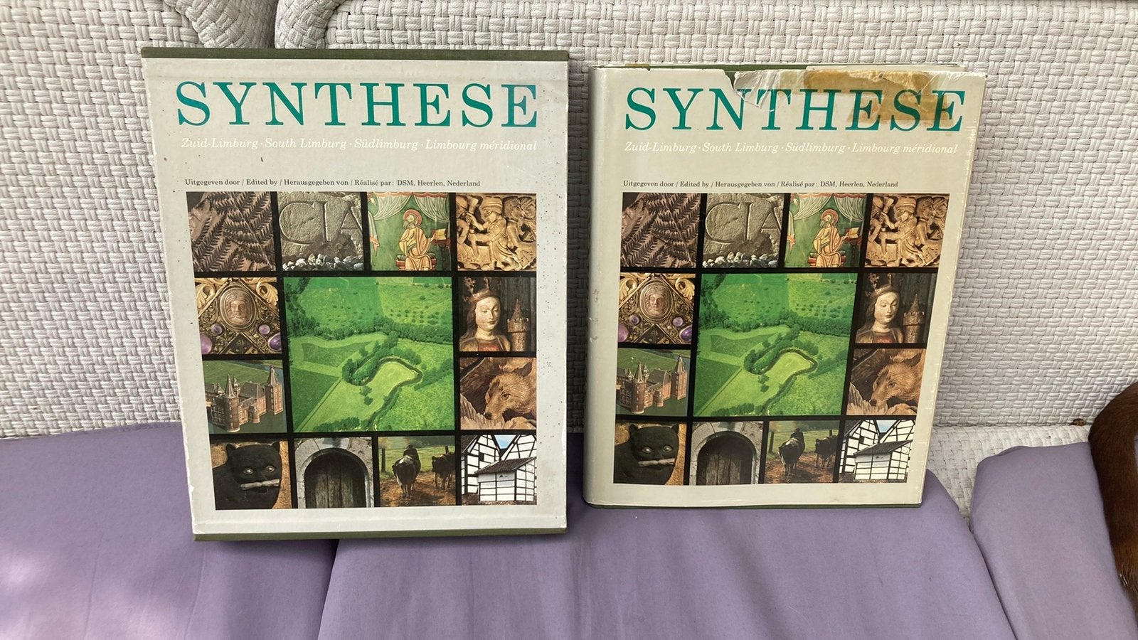 Synthese zuid Limburg uitgave dsm Heerlen, Ophalen of Verzenden, Gelezen