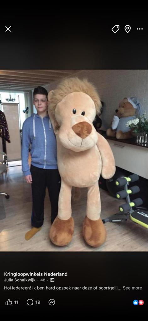 Gezocht: Mega grote leeuw knuffel, Kinderen en Baby's, Speelgoed | Knuffels en Pluche, Gebruikt, Ophalen of Verzenden, Leeuw, Beige