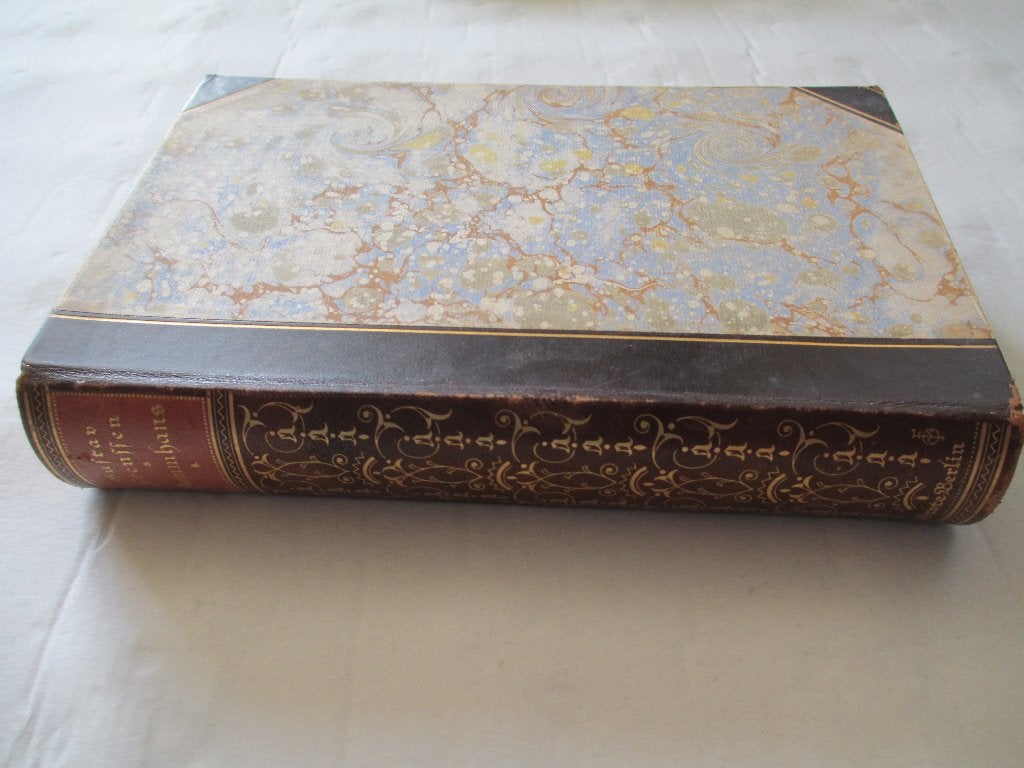 dummhans - gustav frenssen, Ophalen of Verzenden, Gelezen