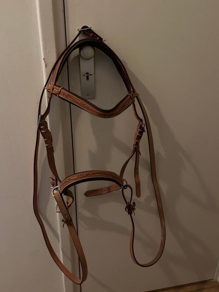 Bitloos hoofdstel pony nieuw, Dieren en Toebehoren, Paarden en Pony's | Hoofdstellen en Tuigage, Ophalen of Verzenden, Nieuw