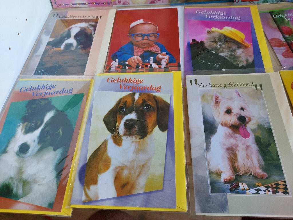 100 wenskaarten voor maar 25 euro., Verzenden, Zo goed als nieuw