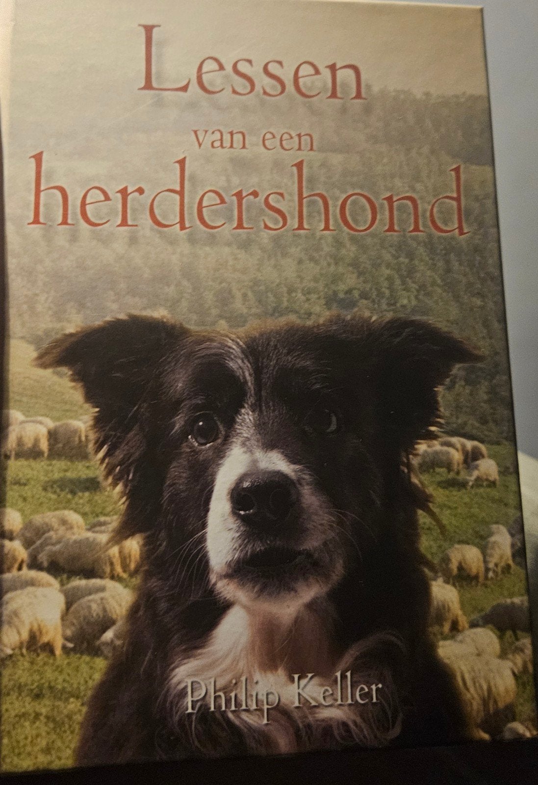 GEZOCHT !!!!, Ophalen of Verzenden, Zo goed als nieuw