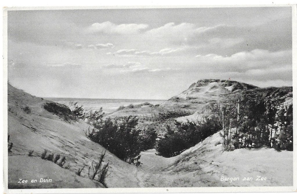 AK Bergen aan Zee - Zee en Duin, Verzenden, 1940 tot 1960, Ongelopen, Noord-Holland