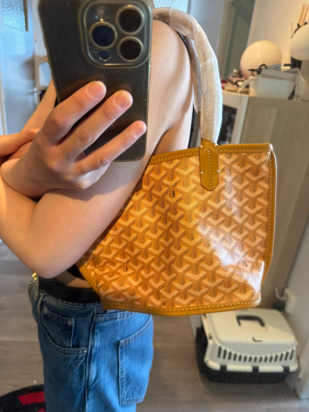 Goyard Bag Yellow Mini Tote Bag, Ophalen of Verzenden, Nieuw, Geel, Shopper