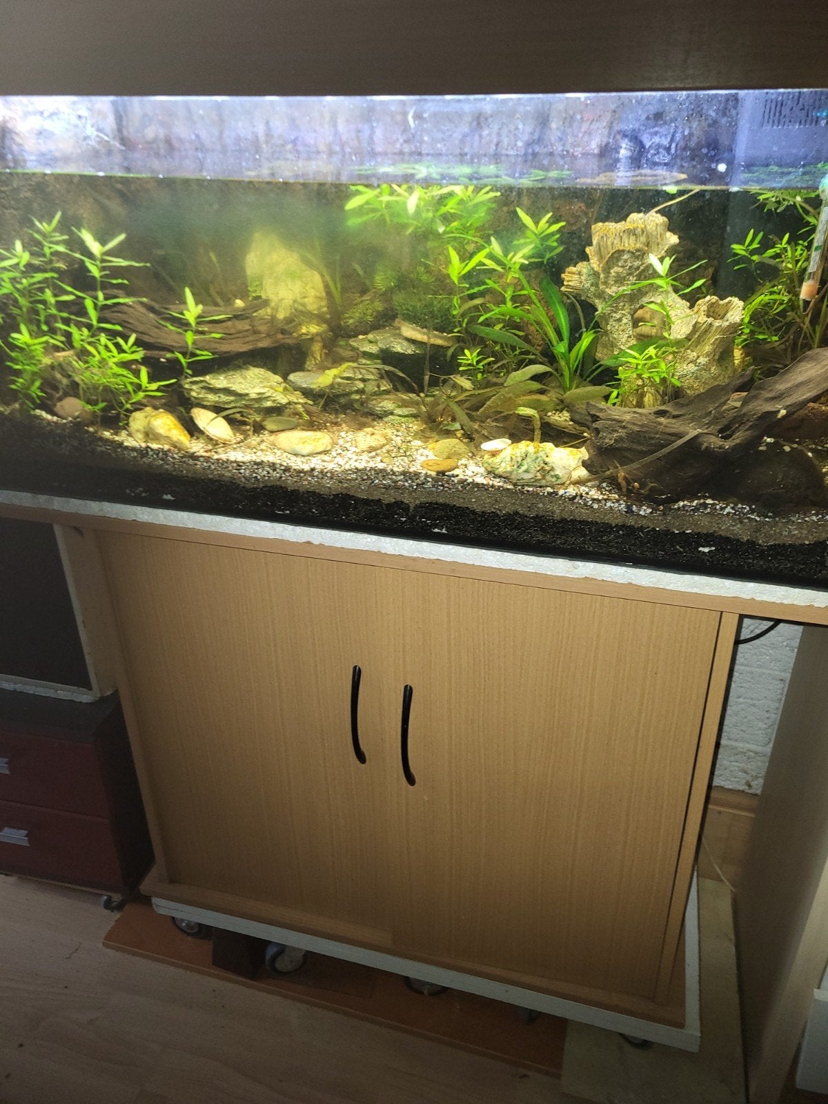 Aquarium 1 mtr.met 3d achter en zijwanden, Ophalen, Leeg aquarium