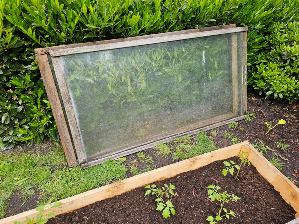 Oud Hollandse kasramen. 2 stuks., Ophalen, Glas