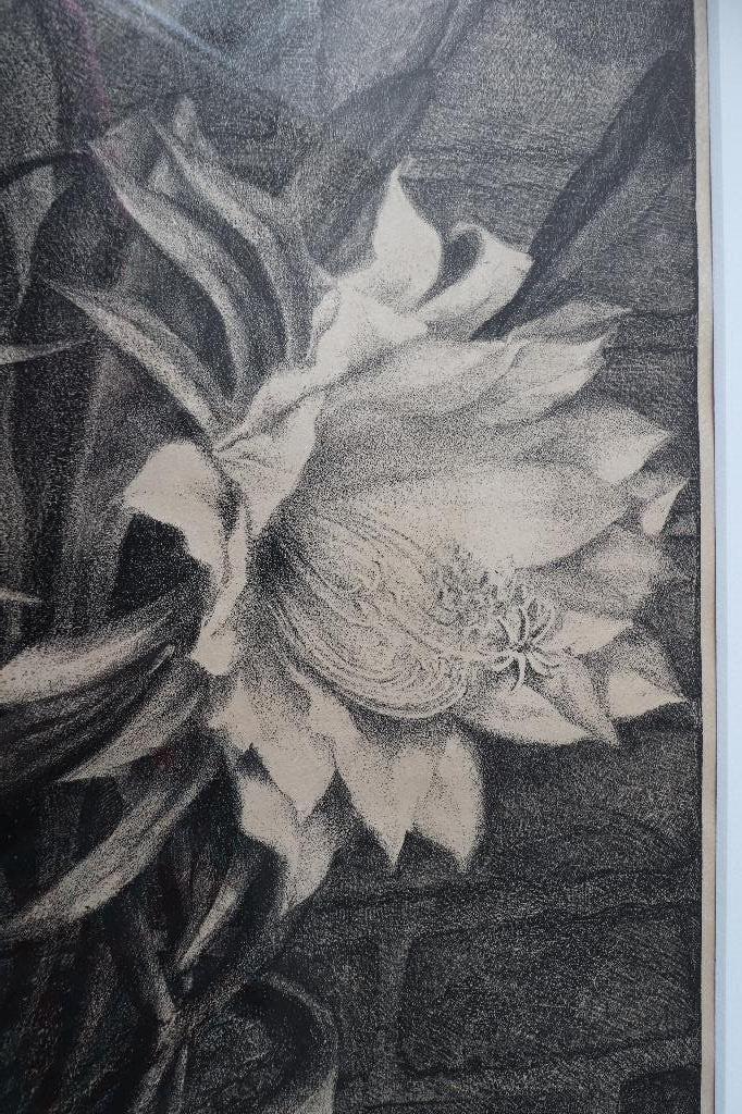 aart van Dobbenburgh - grote 1928 litho "bloeiende cactus", Ophalen of Verzenden