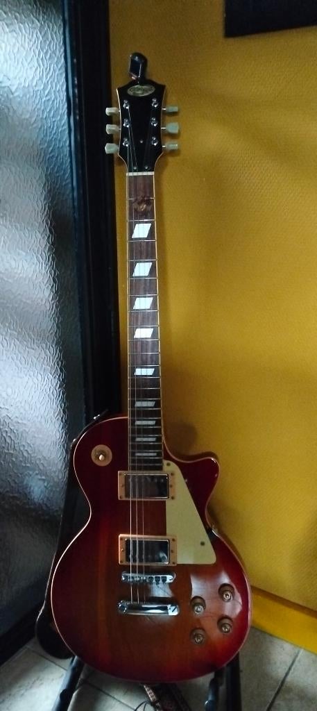 Te koop een mooie Stagg Electrische Gitaar model Les Paul, Met versterker, Zo goed als nieuw, Solid body, Ophalen