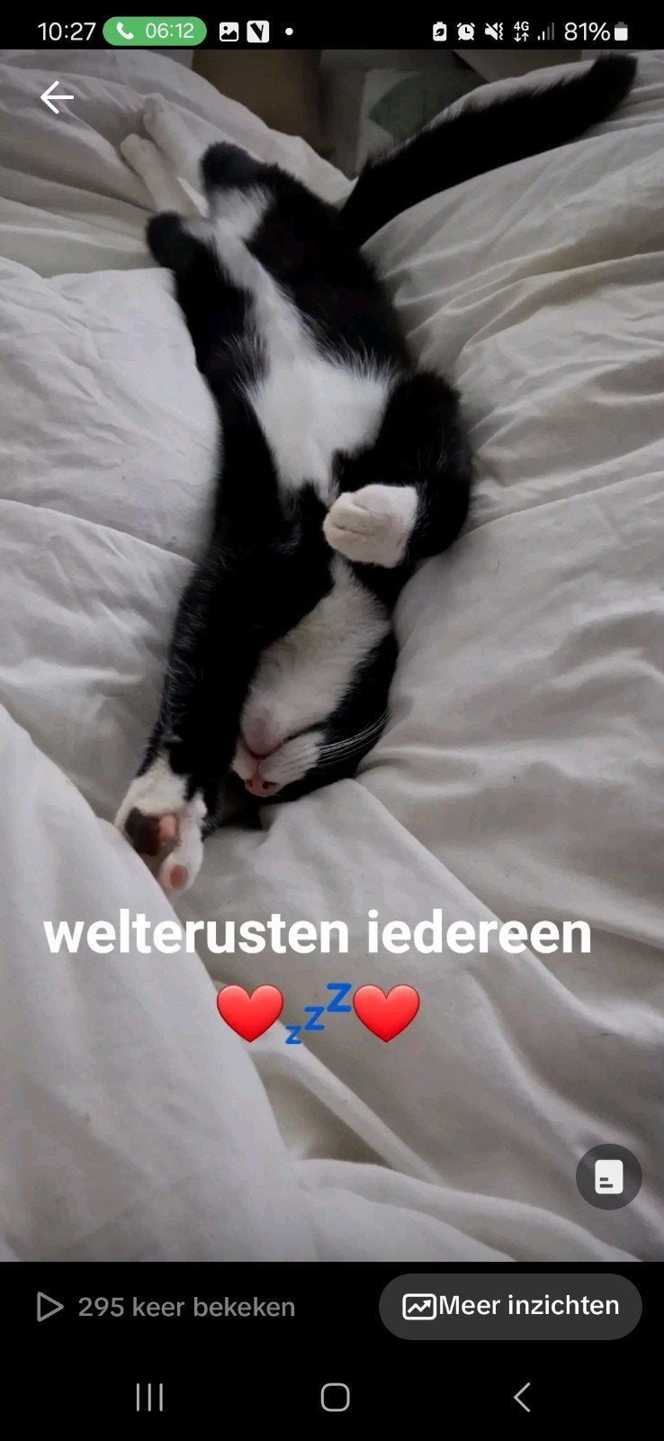 BELLA  3 jaar ZOEKT EEN NIEUWE WARME HUISJE ., Poes