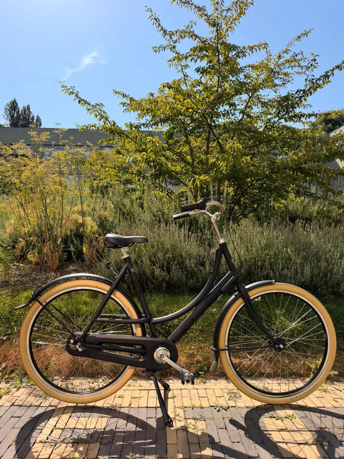 Nieuw: AZOR oma fiets, Terugtraprem, Versnellingen, Nieuw, 0 zitjes